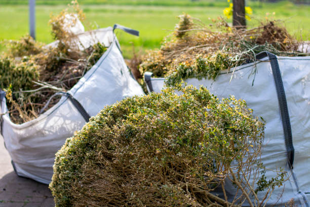 Best Dumpster Rental Services  in Stateburg, SC